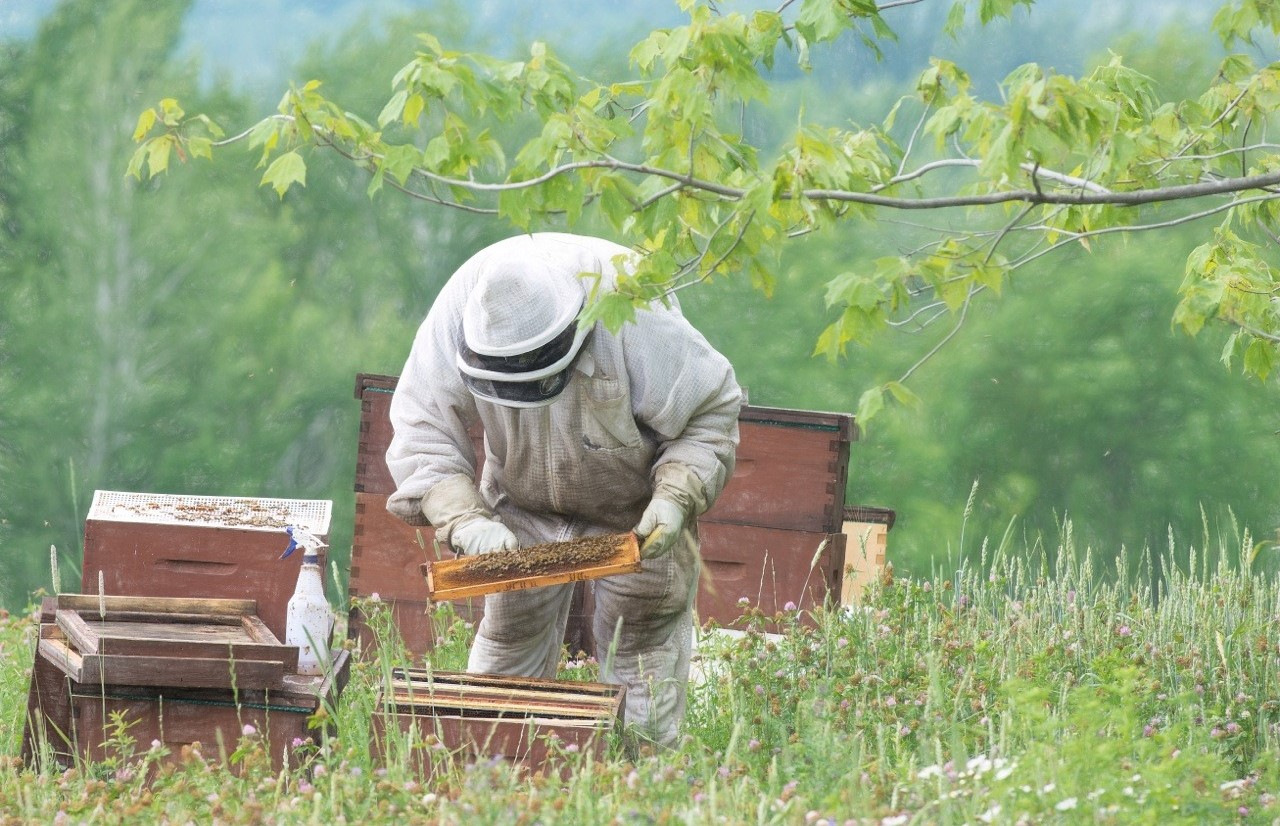 Équipements d'apiculture